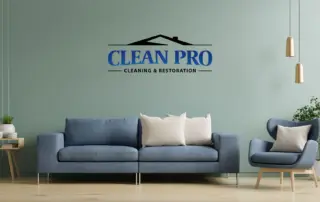 Upholstery Cleaning